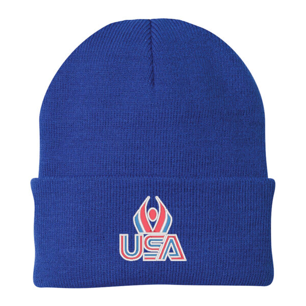 USA Wings - Knit Cap Thumbnail